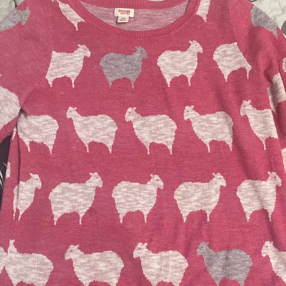 Pink sweater